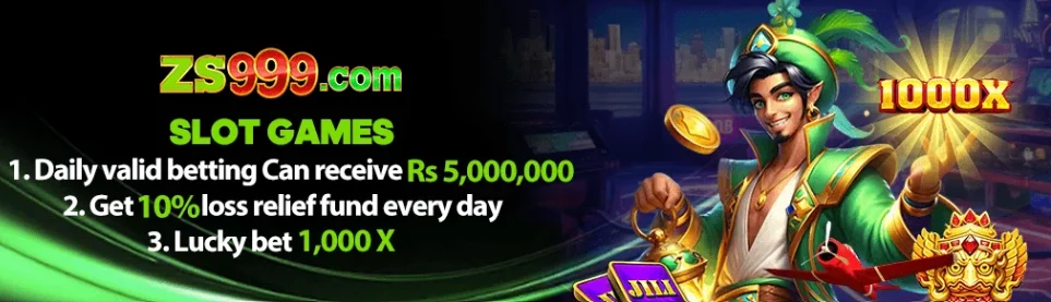ZS999